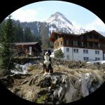 20100419_griesalp.jpg