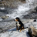 20100419_kiental_waterval.jpg